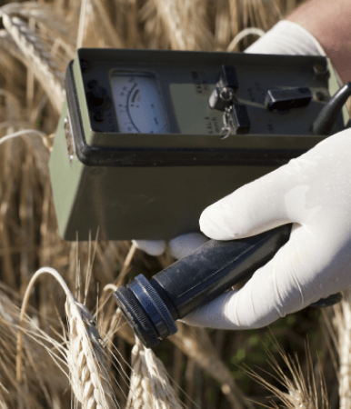 Инженерно-экологические изыскания